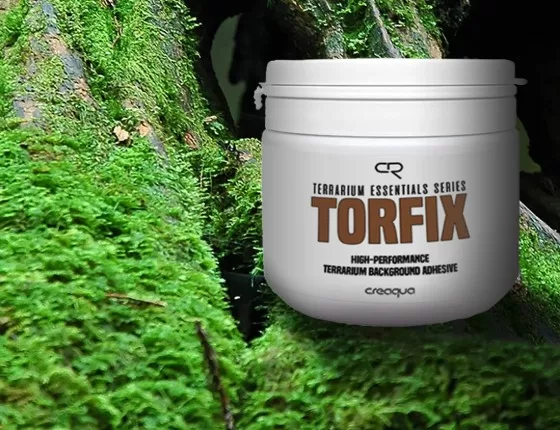 TORFIX Teraryum Yapıştırıcı 750gr (Solventsiz & Çevre Dostu)