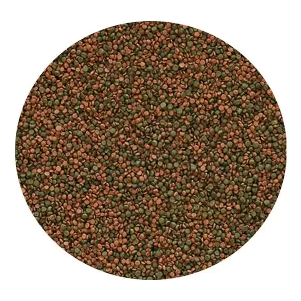 Tropical Cichlid Gran 100gr Kovadan Bölme Granül Balık Yemi