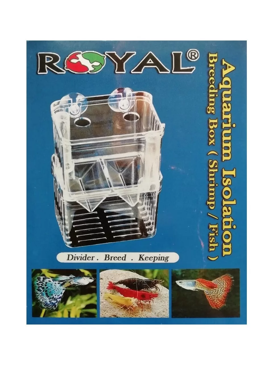 Royal Tek Bölmeli Akvaryum Yavruluğu (Karides ve Balık) 13x10x7 cm