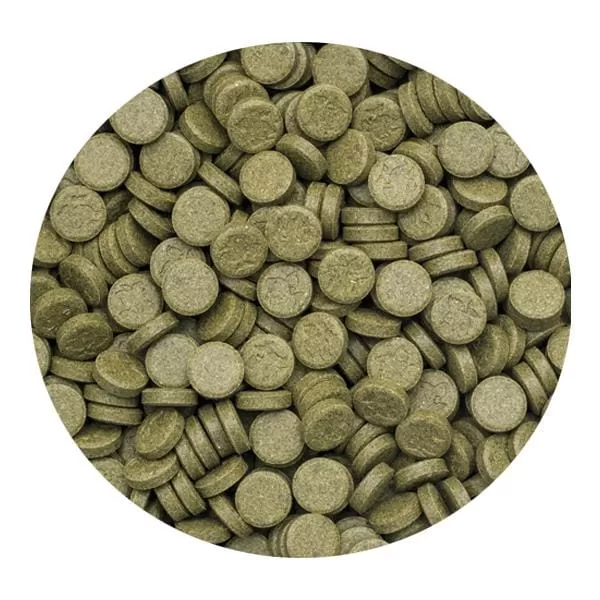 Tropical 3 Algae Tablets A 100 Adet Kovadan Bölme