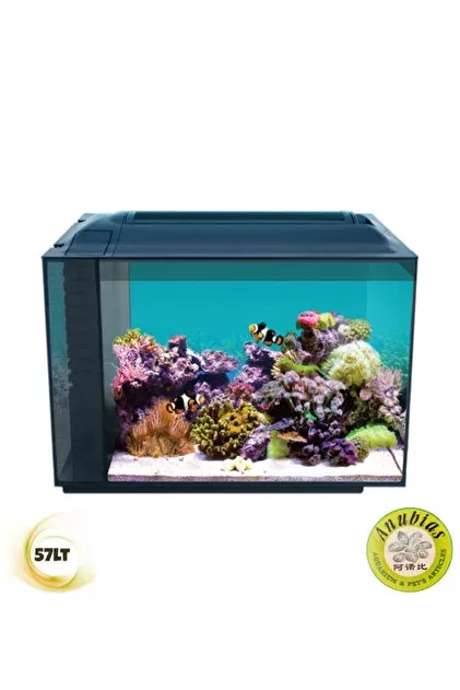 Anubias Evo-V8 55 Nano Marine Akvaryum Siyah 55,5 x 29,5 x 35 Cm